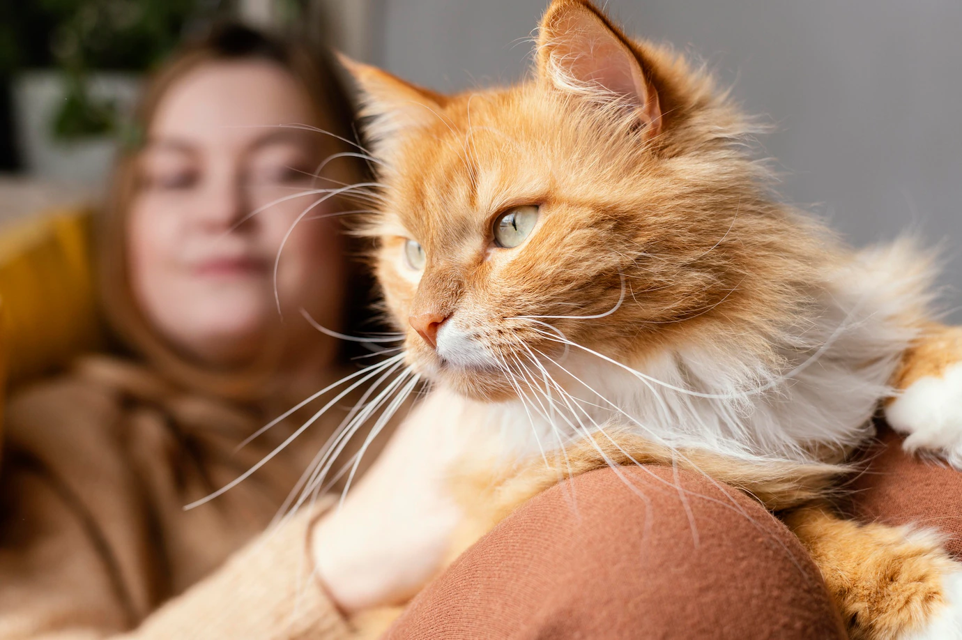 Lovet - Clínica Veterinária e Banho e Tosa