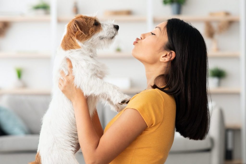 Lovet - Clínica Veterinária e Banho e Tosa