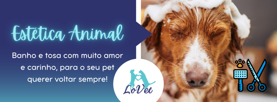 Lovet - Clínica Veterinária e Banho e Tosa